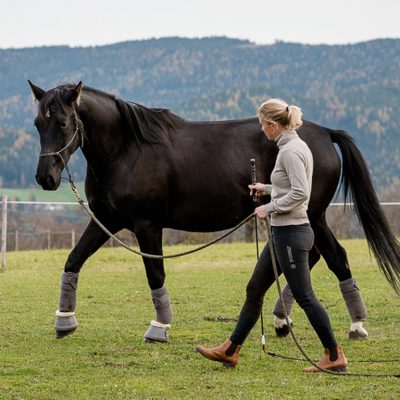 Naturalhorsemanship_Bild_1